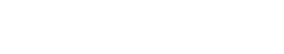 Amico Outline