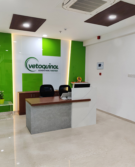 Vetoquinol